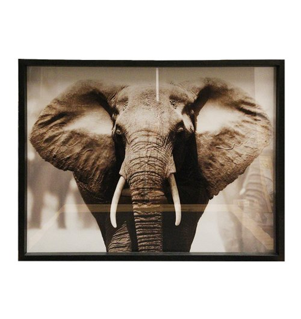 Cuadro Elephant 65 x 85 cm