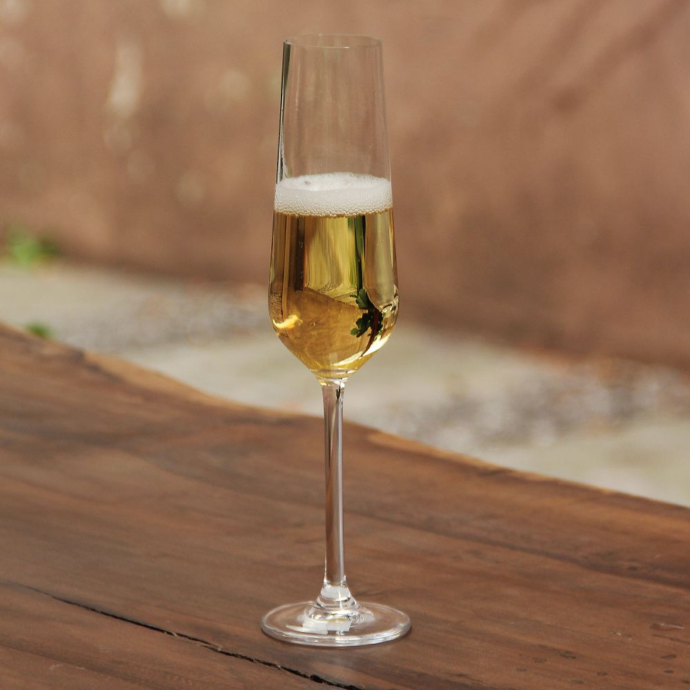 Copa Champagne Trieste 210 ml